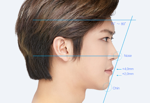 Tỷ lệ vàng của mũi nam giới - Dr.Hiếu Liêm Q.10